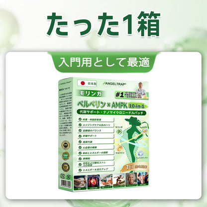公式旗艦店 /💓💓ANGELTRAP®＆NAD+ 10-in-1 ナノ強化フォーミュラ — 肥満、肌のたるみ、糖尿病、睡眠時無呼吸症候群、関節の悩み、その他健康上の懸念にアプローチ🛡️